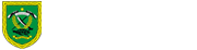 footer-logo.png